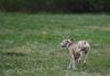 DSC_0384~6.jpg