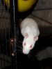 DSC_0385~5.jpg