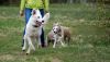 DSC_0388~4.jpg