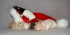 DSC_0391~2.jpg