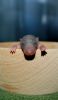 DSC_0391~4.jpg