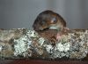 DSC_0391~6.jpg
