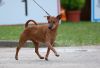 DSC_0393~5.jpg