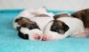DSC_0394~10.jpg
