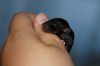 DSC_0397~2.jpg