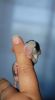 Filename=DSC_0403~2.jpg
Filesize=53KiB
Dimensions=670x1200
Date added=Aug 13, 2012 DSC_0403~2.jpg
