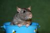 DSC_0403~4.jpg