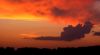 DSC_0404~4.jpg