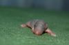 DSC_0406~1.jpg