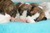 DSC_0406~5.jpg