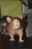 DSC_0409~4.jpg