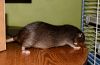 DSC_0409~5.jpg