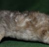 DSC_0409~6.jpg