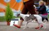DSC_0410~4.jpg