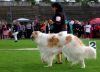 DSC_0414~10.jpg