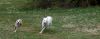 DSC_0414~9.jpg