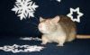 DSC_0416~5.jpg