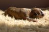 DSC_0417~3.jpg