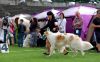 DSC_0418~3.jpg
