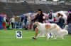 DSC_0419~3.jpg