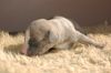 DSC_0419~4.jpg
