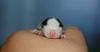 DSC_0420~3.jpg