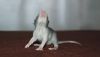 DSC_0420~5.jpg