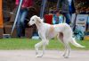 DSC_0423~3.jpg