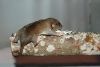 DSC_0425~4.jpg
