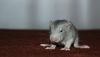 DSC_0425~5.jpg