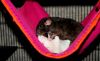 DSC_0427~5.jpg