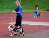 Filename=DSC_0446~6.jpg
Filesize=225KiB
Dimensions=1200x941
Date added=Aug 20, 2017 DSC_0446~6.jpg
