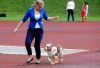Filename=DSC_0450~4.jpg
Filesize=159KiB
Dimensions=1200x826
Date added=Aug 20, 2017 DSC_0450~4.jpg