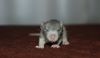 DSC_0462~2.jpg