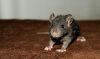 DSC_0466~3.jpg