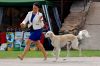 DSC_0466~5.jpg