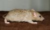 DSC_0472~1.jpg