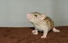 DSC_0481~1.jpg