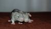 DSC_0487~0.jpg