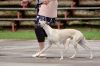 DSC_0494~1.jpg