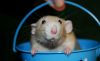 DSC_0517~0.jpg