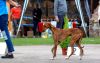 DSC_0527~3.jpg
