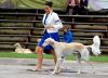 DSC_0544~2.jpg