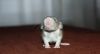 DSC_0562~0.jpg