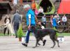 DSC_0569~0.jpg