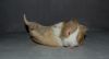 DSC_0616.jpg