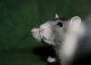 DSC_0628.jpg