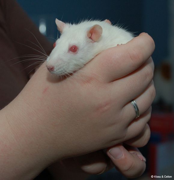 DSC_0036.jpg