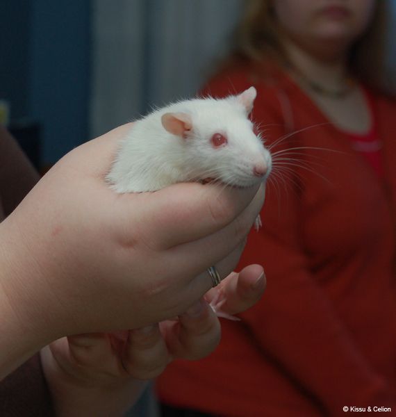 DSC_0037.jpg