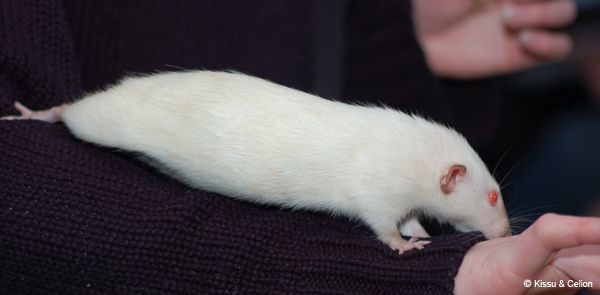 DSC_0049.jpg